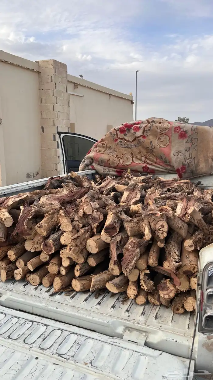 حملة سمر متوفر في الرياض 0