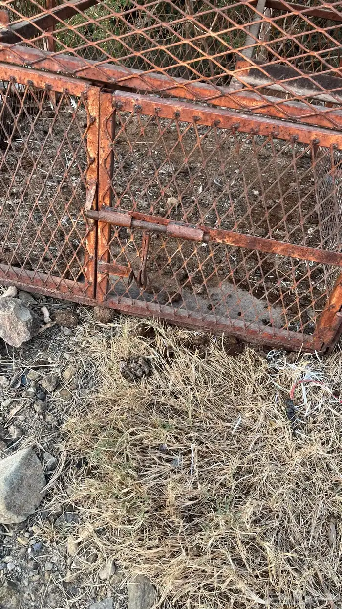 شبك او صندقه دجاج .ارانب .بط.حمام سمان.انته ورغبتك 4