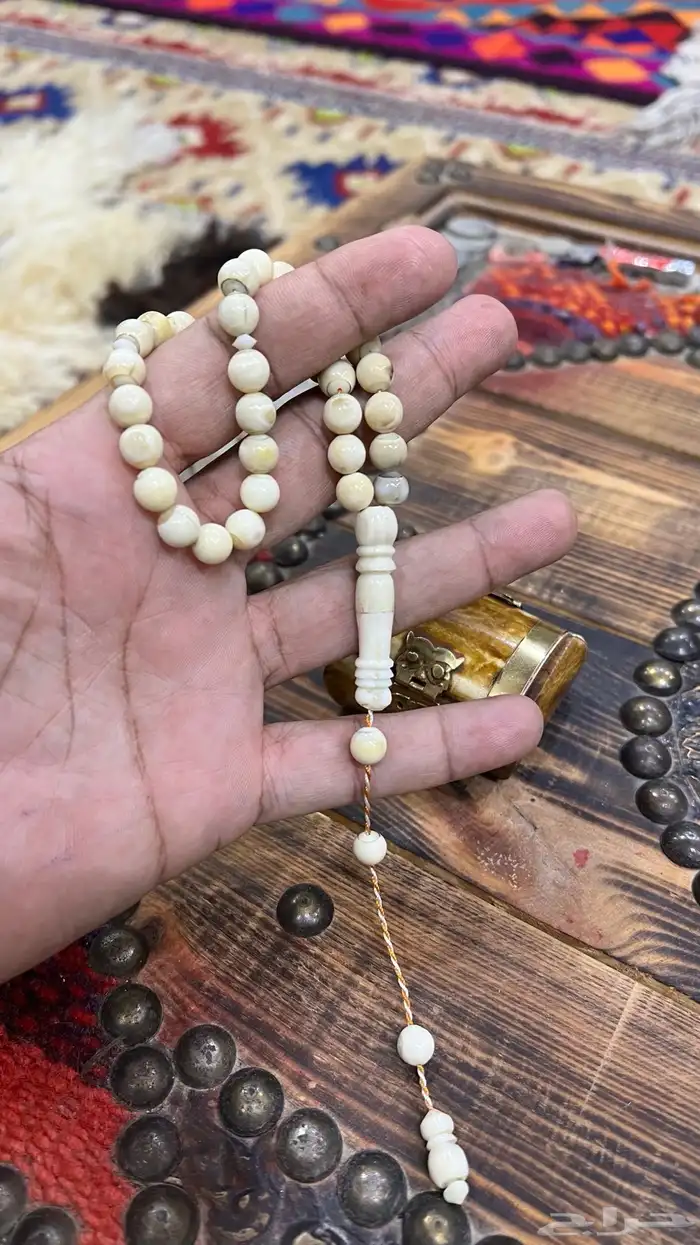 سبحة ناب أسد مشروط 6