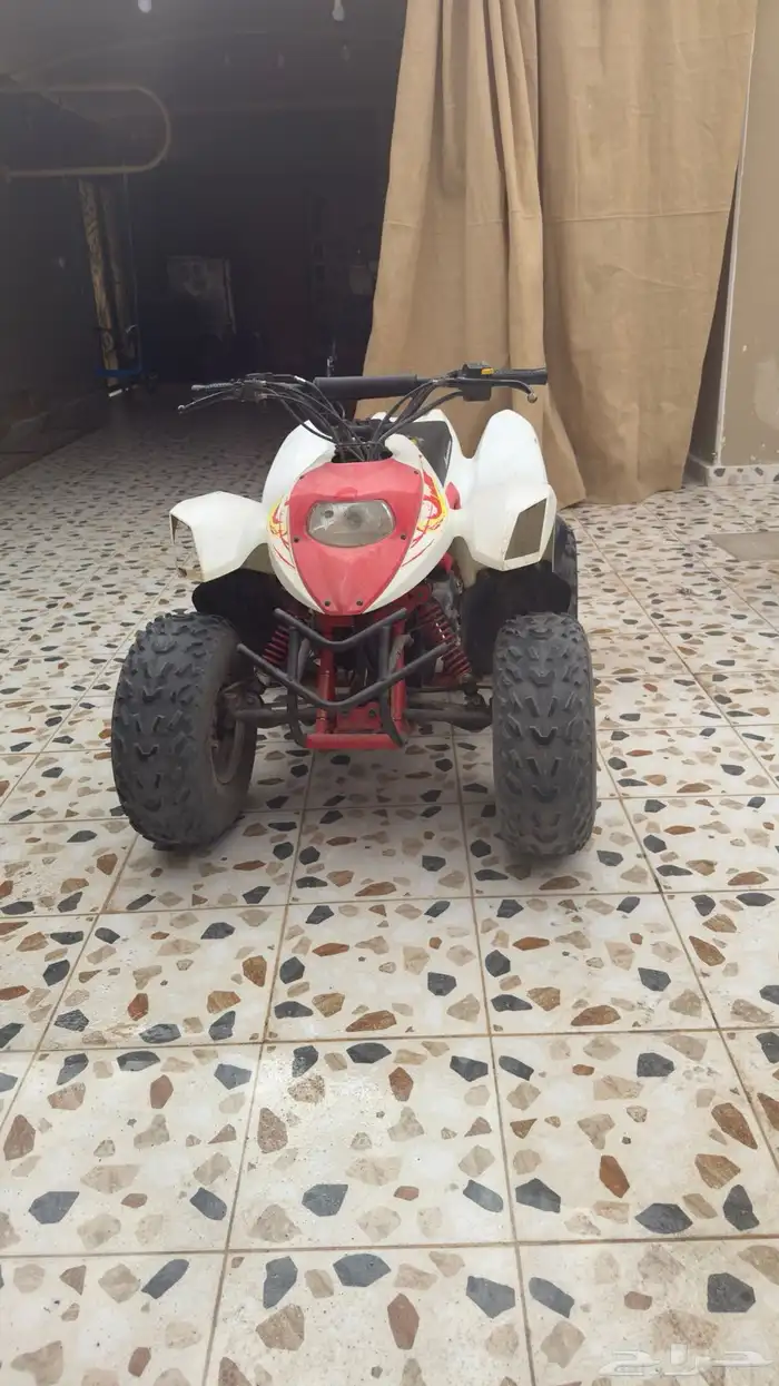 دباب للبيع 0