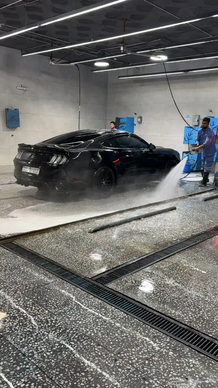 موستنج 2015 بدي وكاله وممشى قليل 10