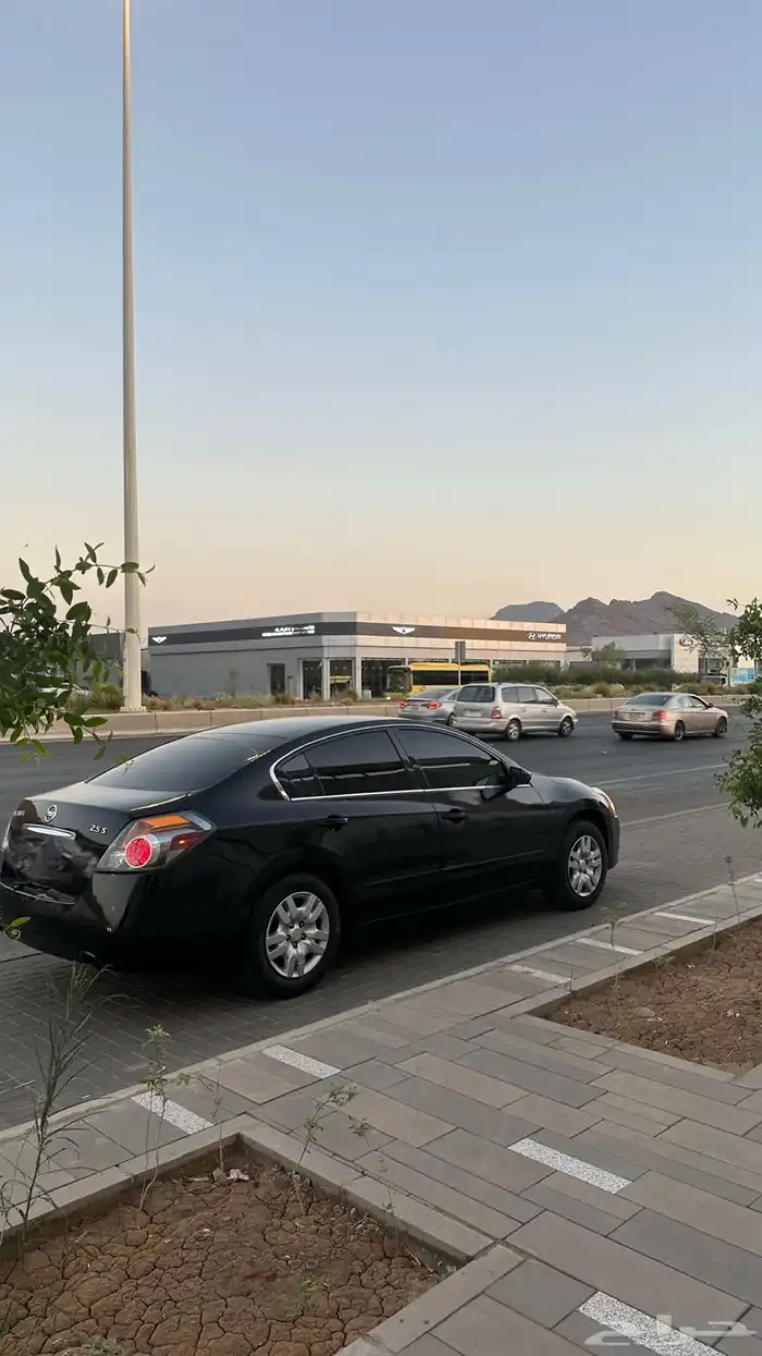 التيما 2012 10