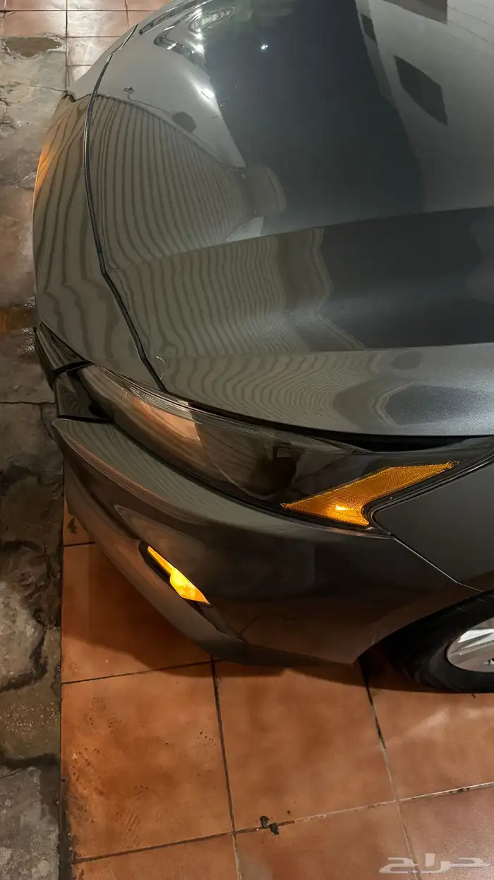 التيما 2020 ستاندر 7