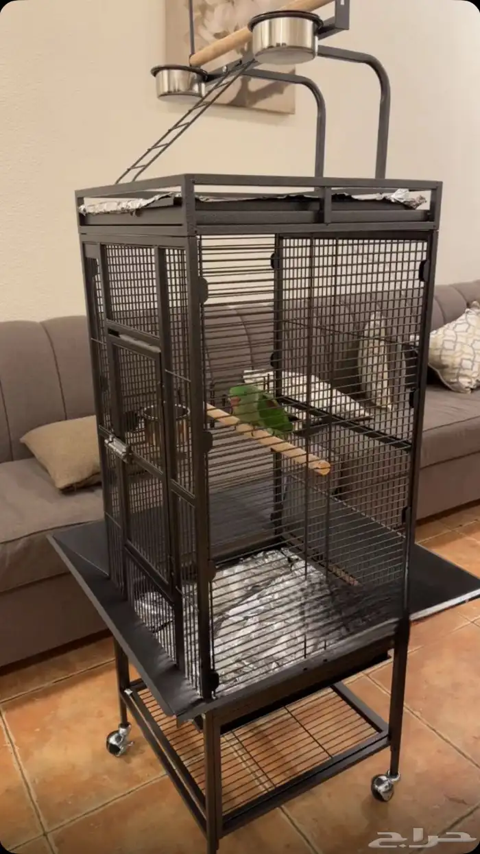 دره نيبالي 2