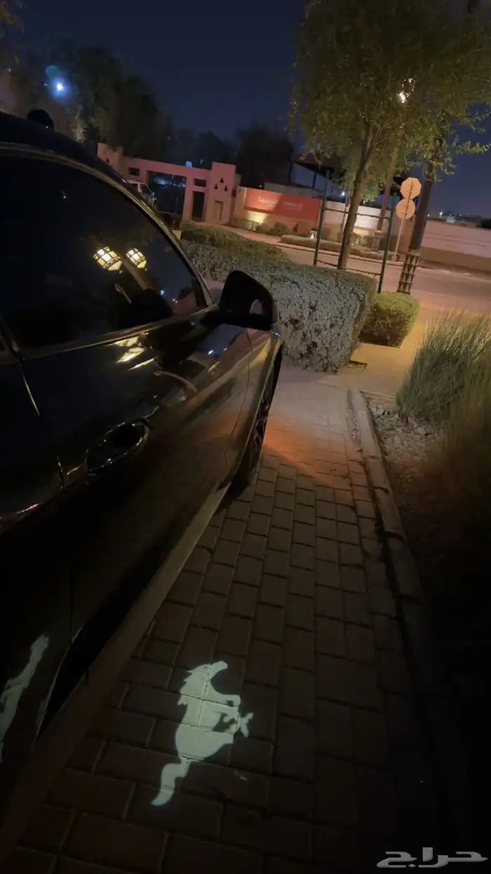 موستنج 2015 بدي وكاله وممشى قليل 9