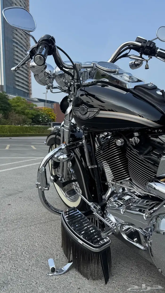 Harley Softail Springer 2003 100th Anniversary 5