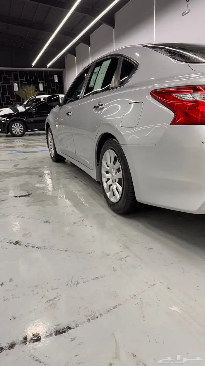 التيما 2017 فضي ستاندر 4