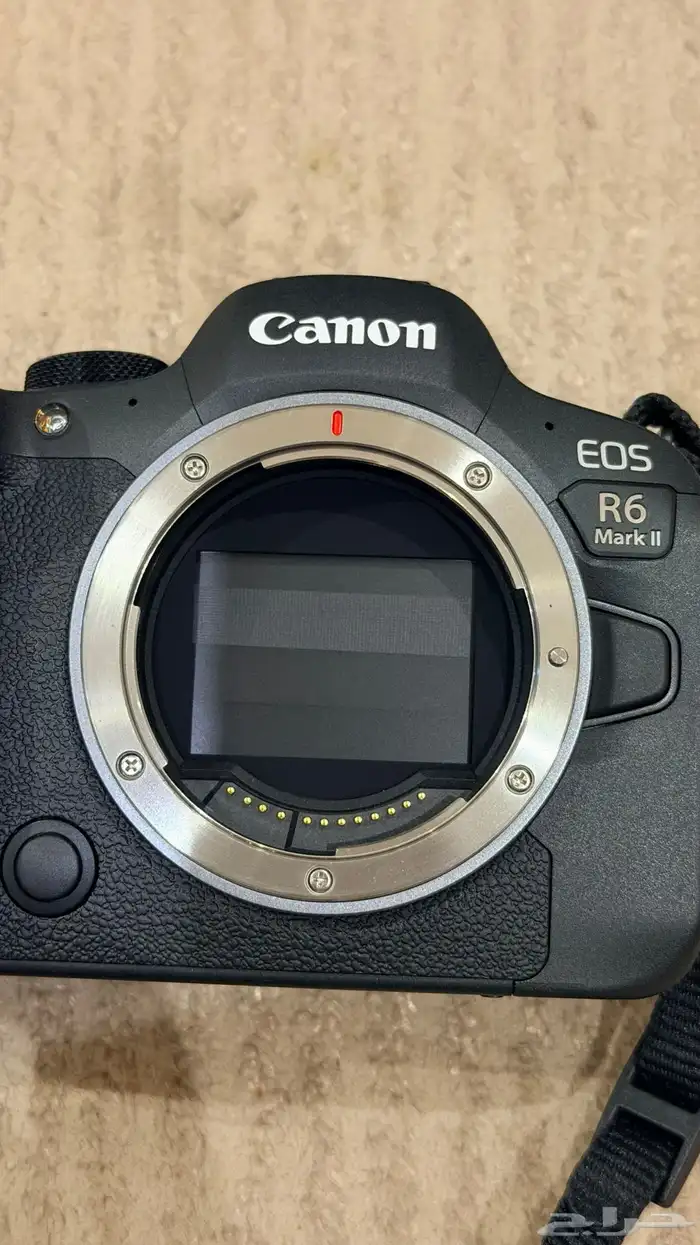 كاميرا كانون (EOS R6 Mark 2)   عدسة كانون (RF 24 105) 3