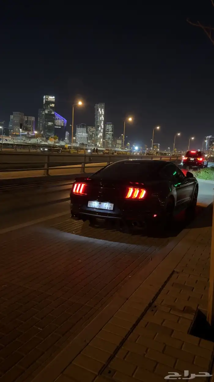 موستنج 2015 بدي وكاله وممشى قليل 8