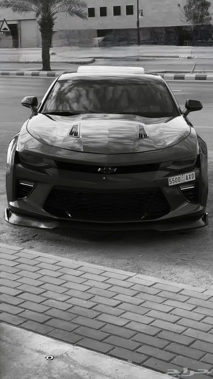 كمارو SS2 2017 فيفتي ( نسخة الخمسين عام ) 0