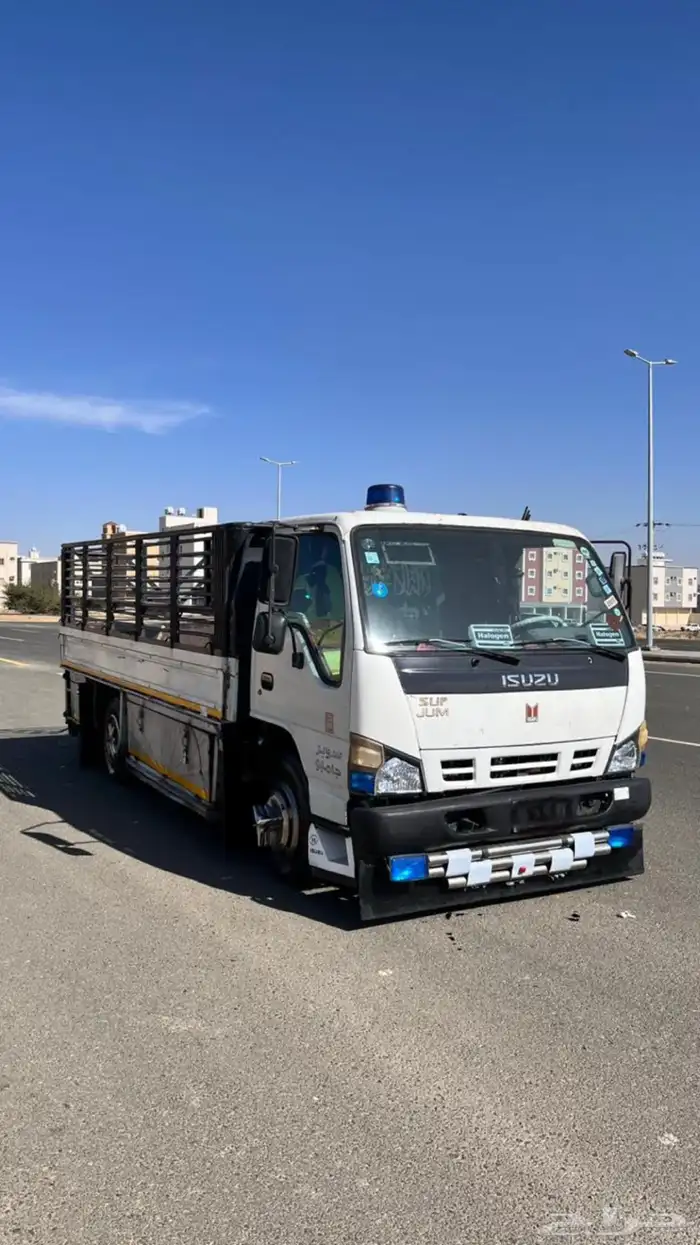 دينا ايسوزو 2008 0