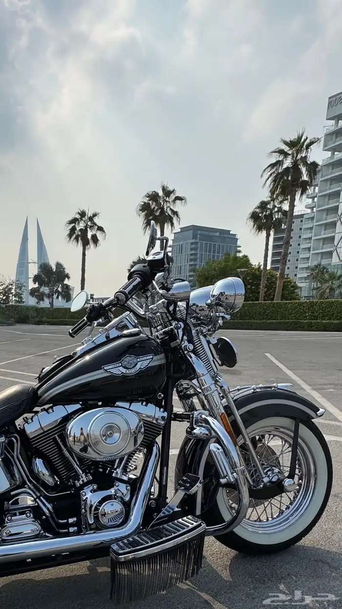 Harley Softail Springer 2003 100th Anniversary 2