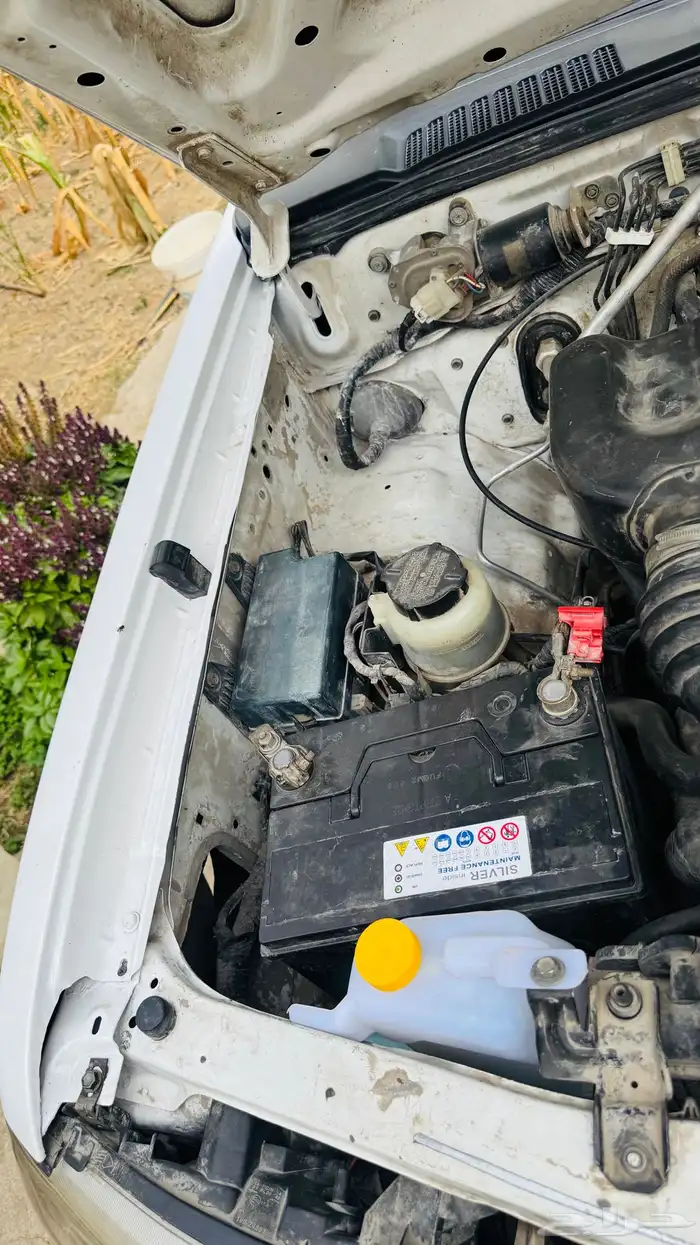 ددسن 2011 غمارتين تايلندي 10