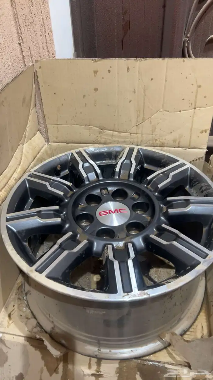 جنوط وكاله سيرا مع مساعدات اماميه 2024 0