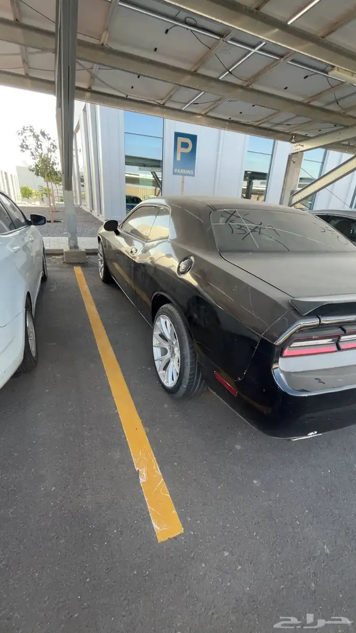 دوج تشالنجر2011 4