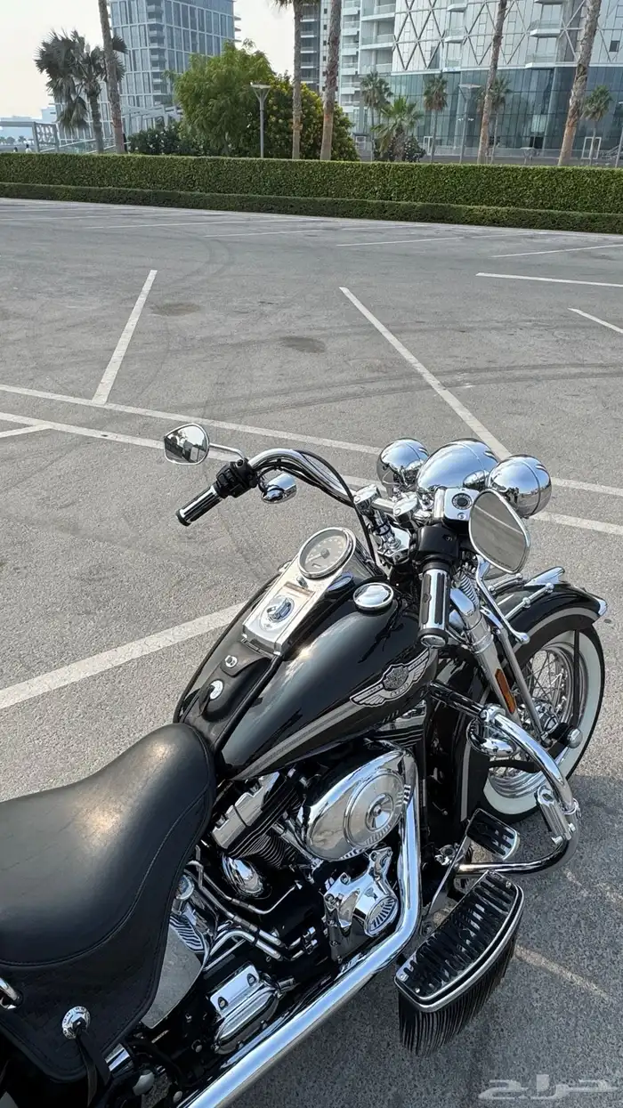 Harley Softail Springer 2003 100th Anniversary 3