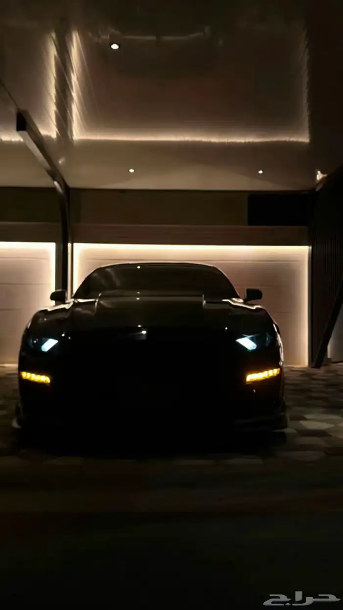 موستنج 2015 بدي وكاله وممشى قليل 11