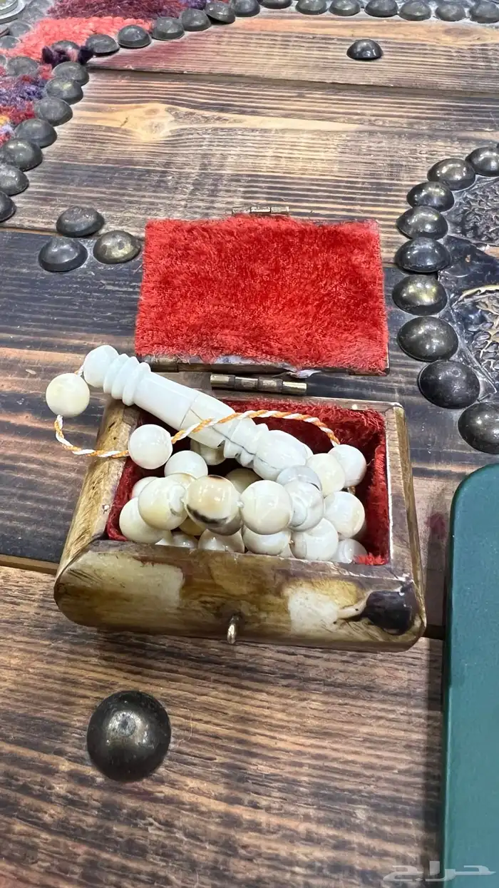 سبحة ناب أسد مشروط 0