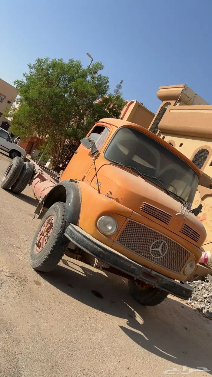 حصنيه للبيع 10