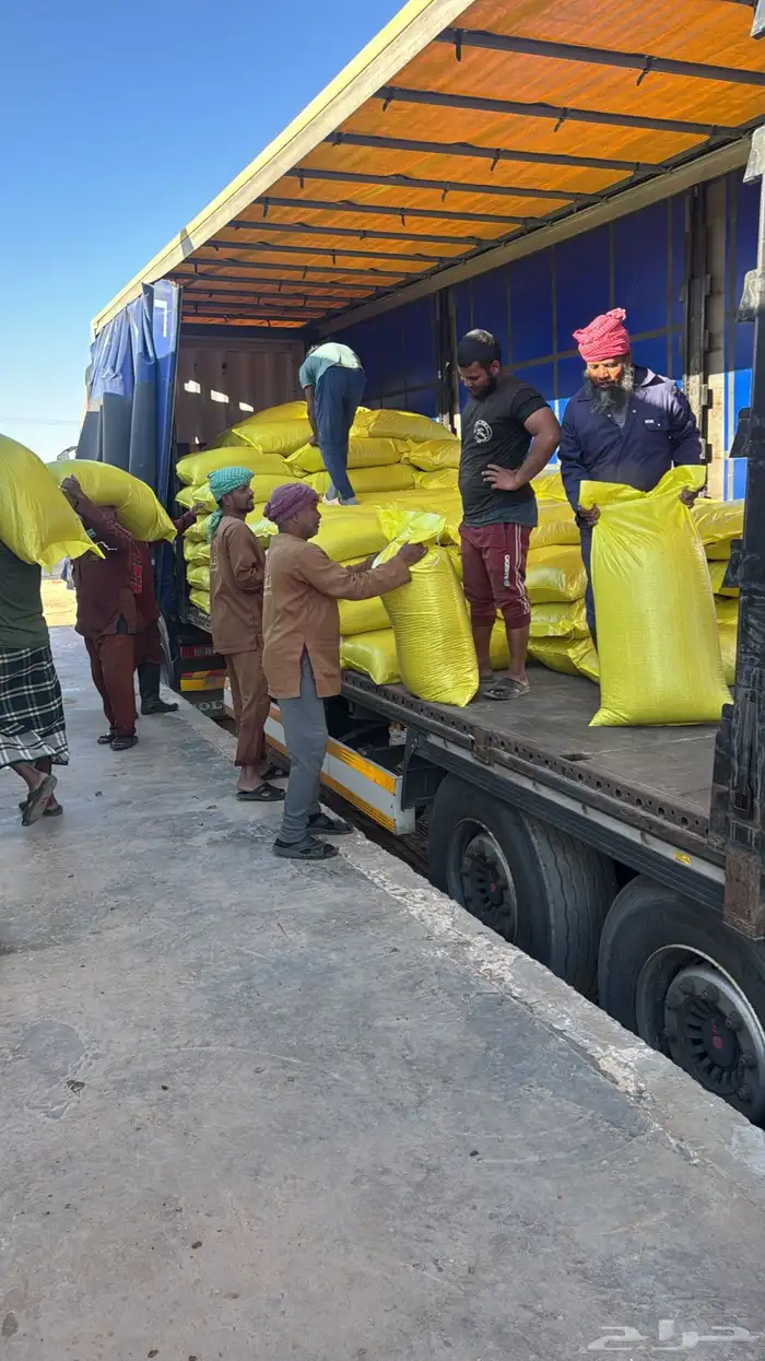 تريلا ستاره للايجار ترلات ستاير 3