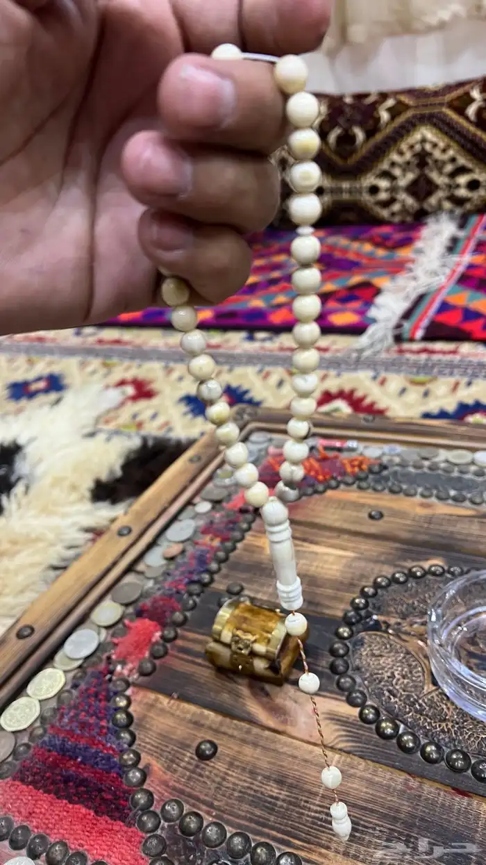 سبحة ناب أسد مشروط 3