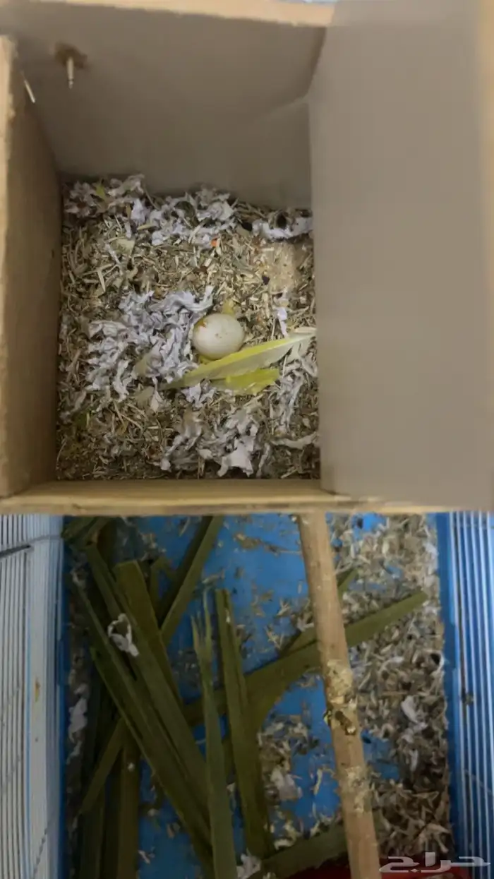 بسم الله الرحمن الرحيم 3