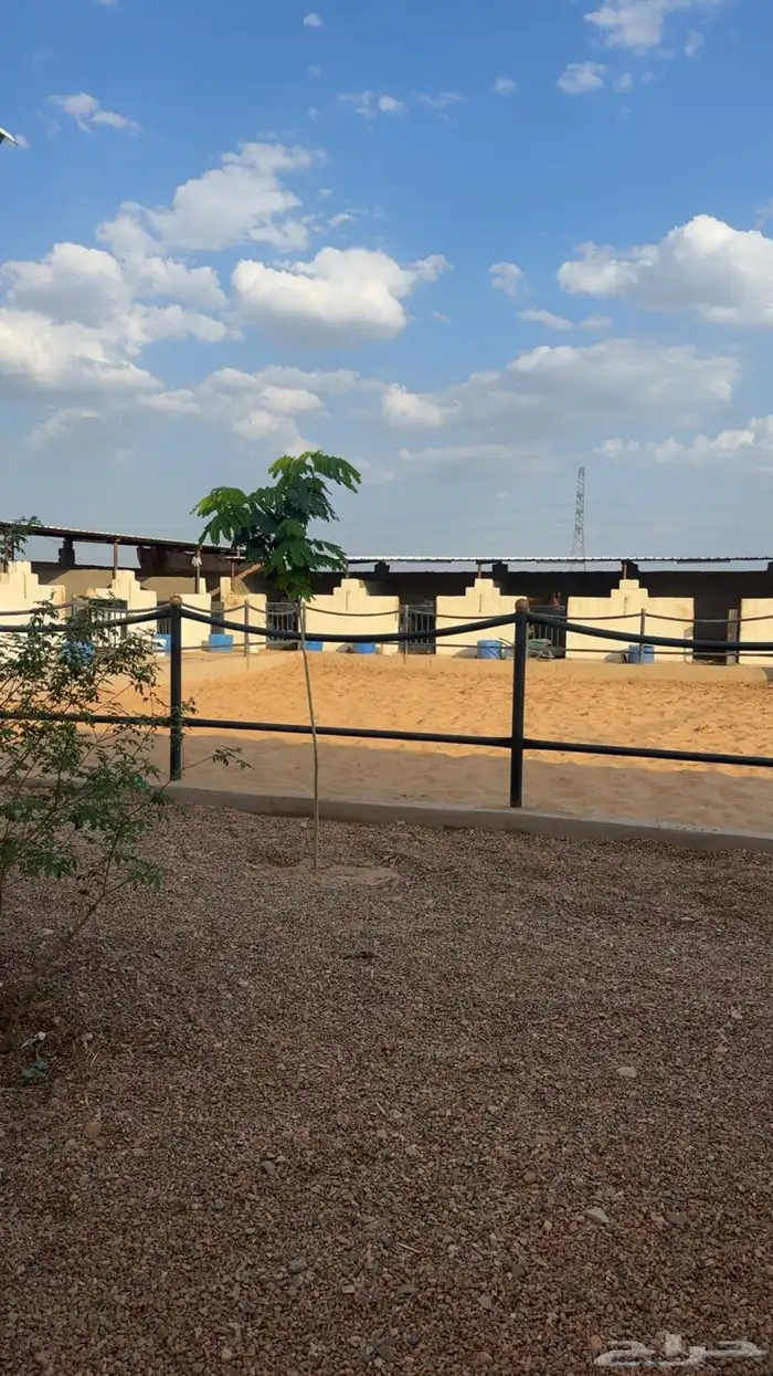 إعلان ايواء ب اسعار مميزه 1