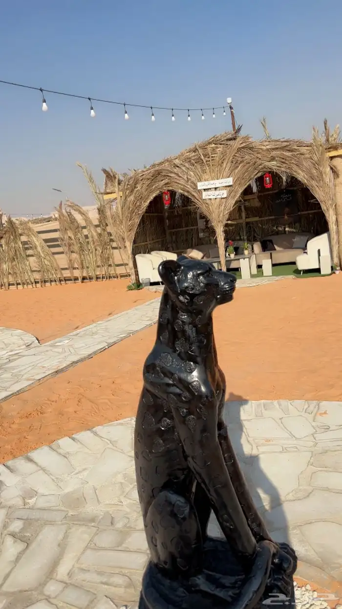 مخيم الريم للايجار المزاحميه 7