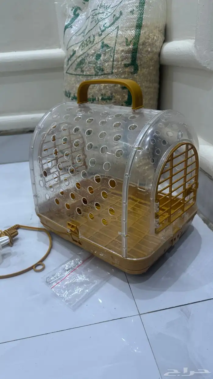 بط صغير للبيع 1