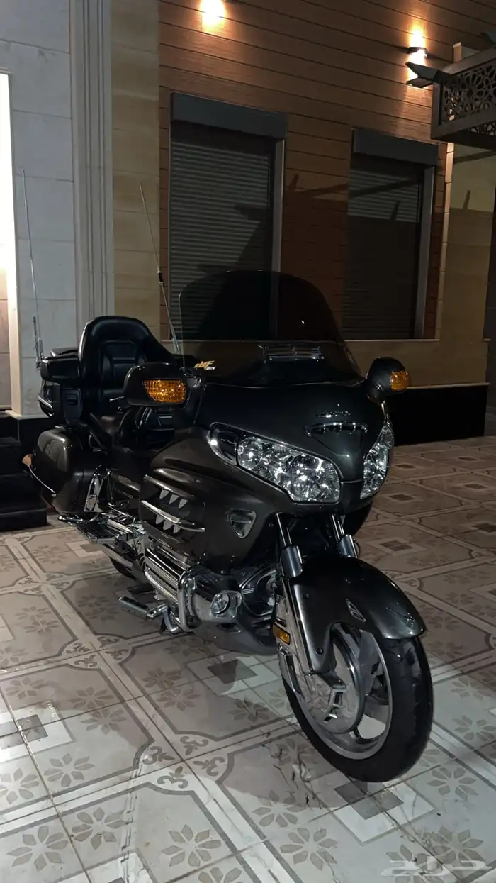 قولد وينق رحال ليفل 1 - 2009 0