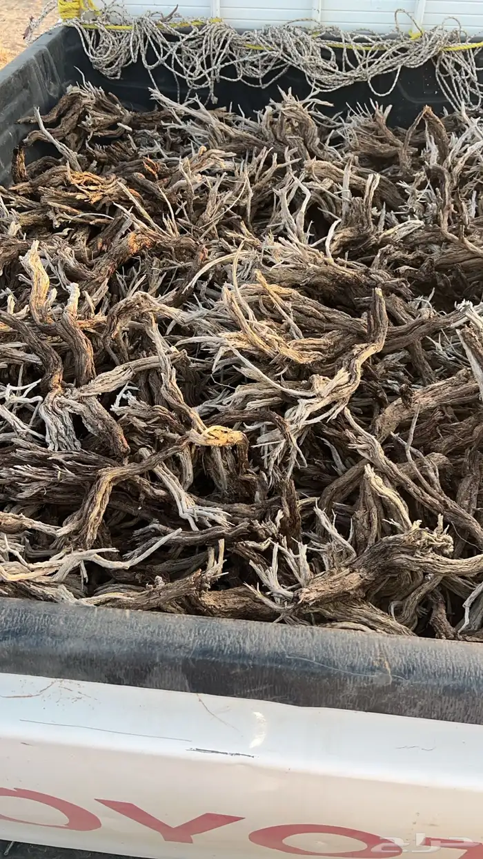 مسحه صندوق مستورد 1