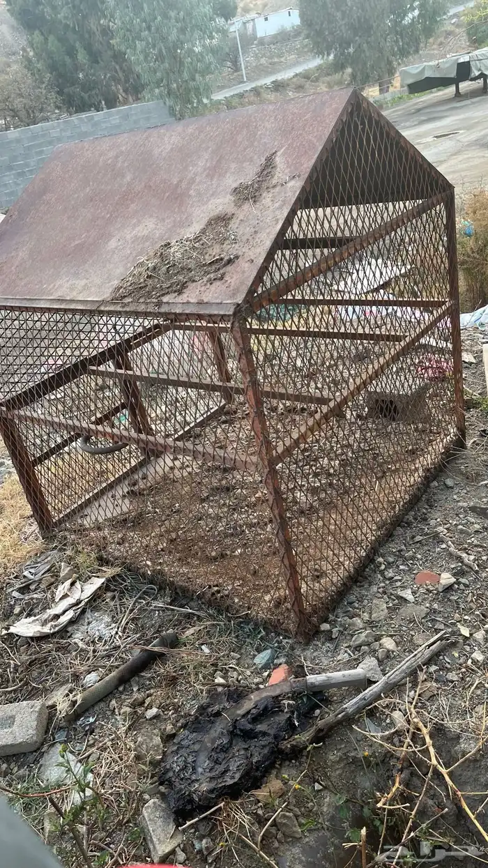 شبك او صندقه دجاج .ارانب .بط.حمام سمان.انته ورغبتك 5