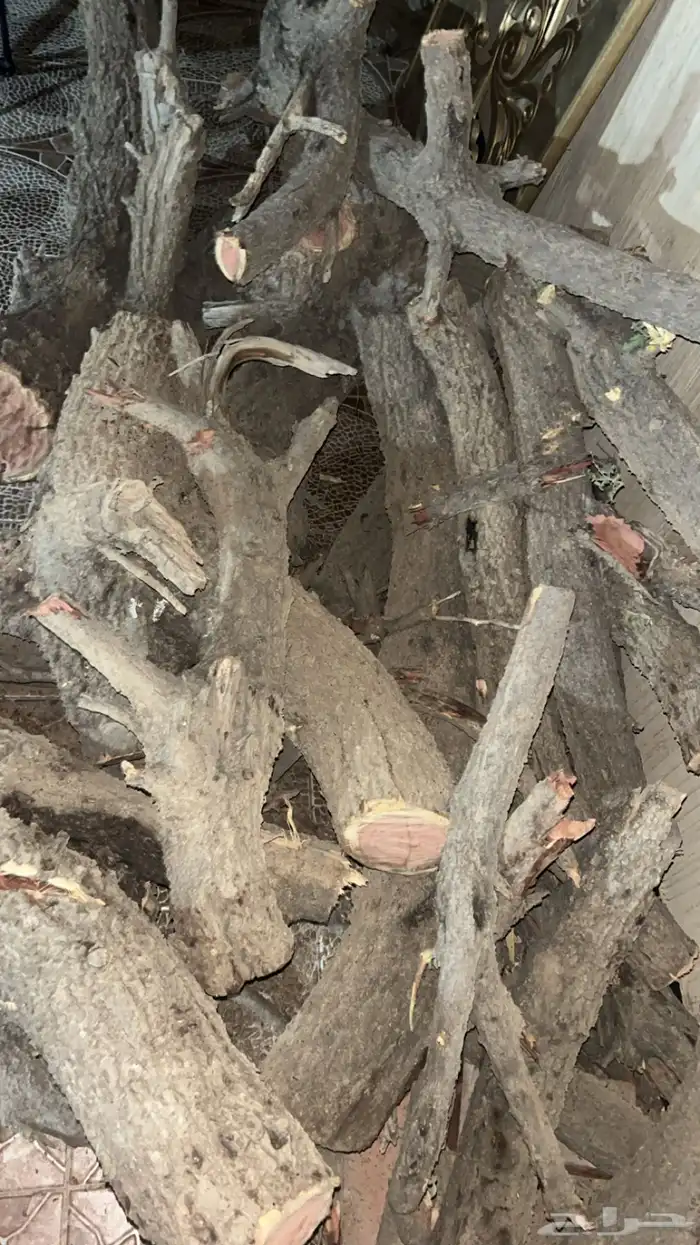 حطب ماشاءالله للبيع مستورد 0