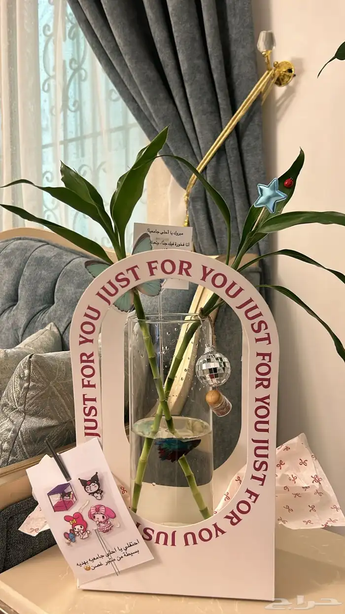 هدايا سمك ونباتات 7