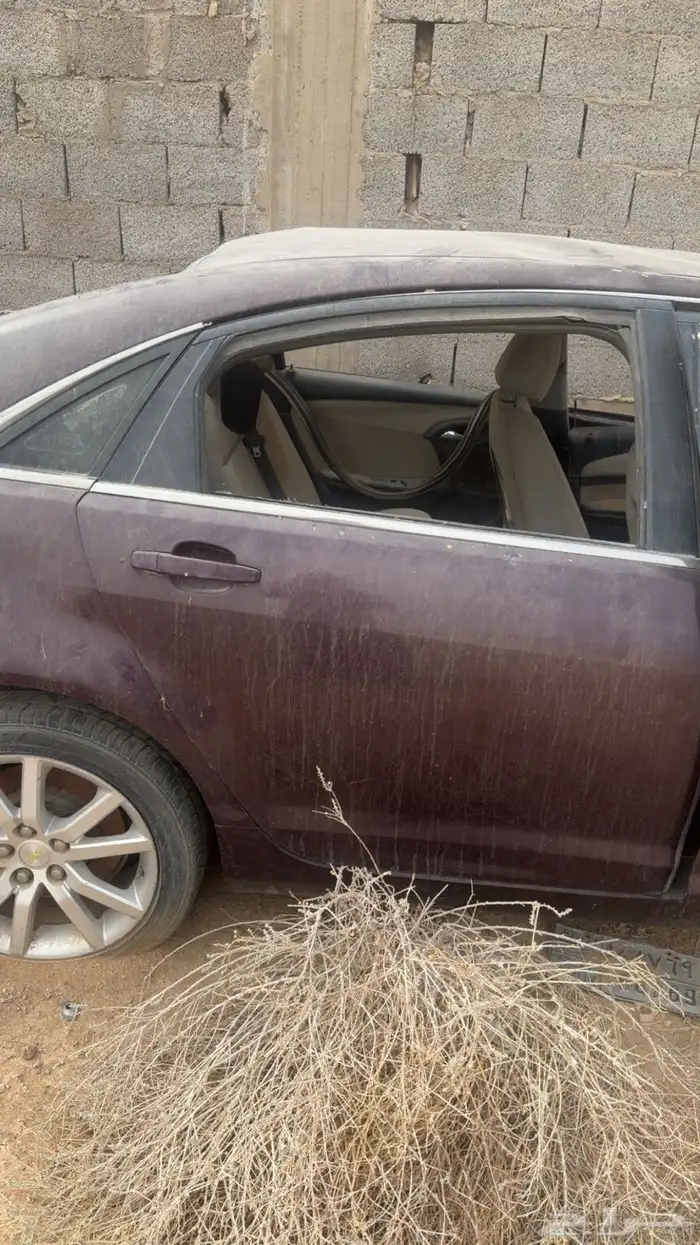 كابرس 2015 مصدوم 2