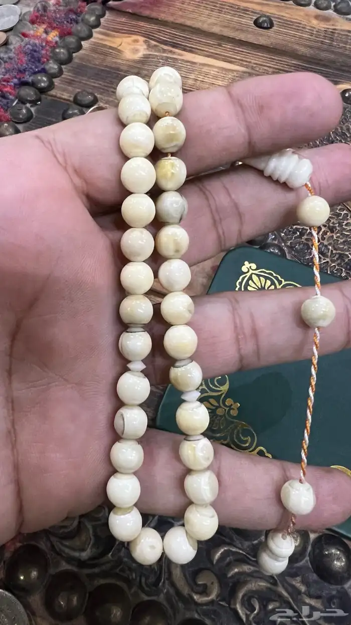 سبحة ناب أسد مشروط 1