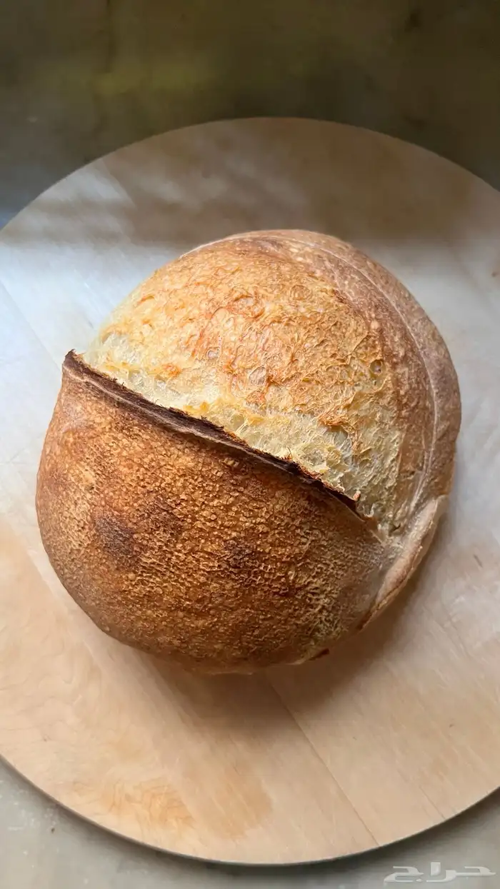 عرض ساوردو خميرة طبيعية 7