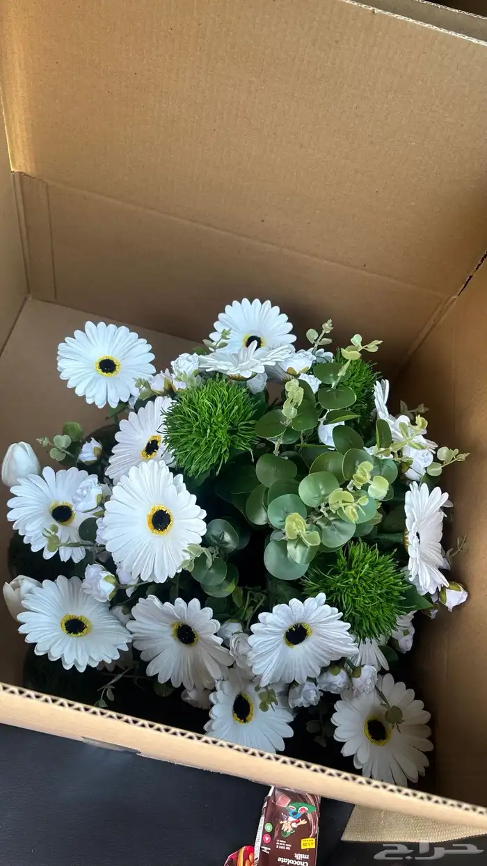 مندوب توصيل ورد هدايا كيك الخ 0