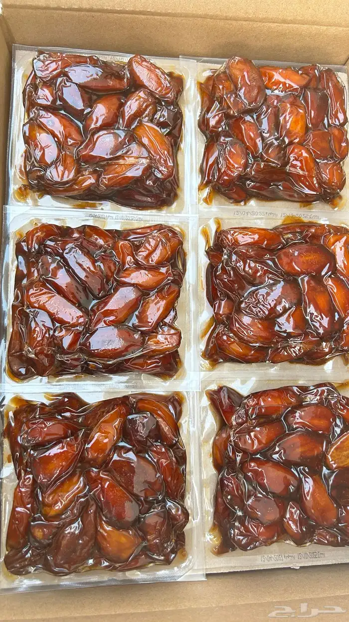 المنطقه الشرقيه الخبر 0