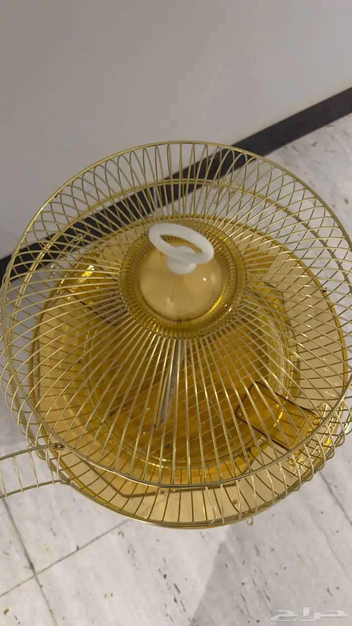 ثلاثه طيور بادجي 3