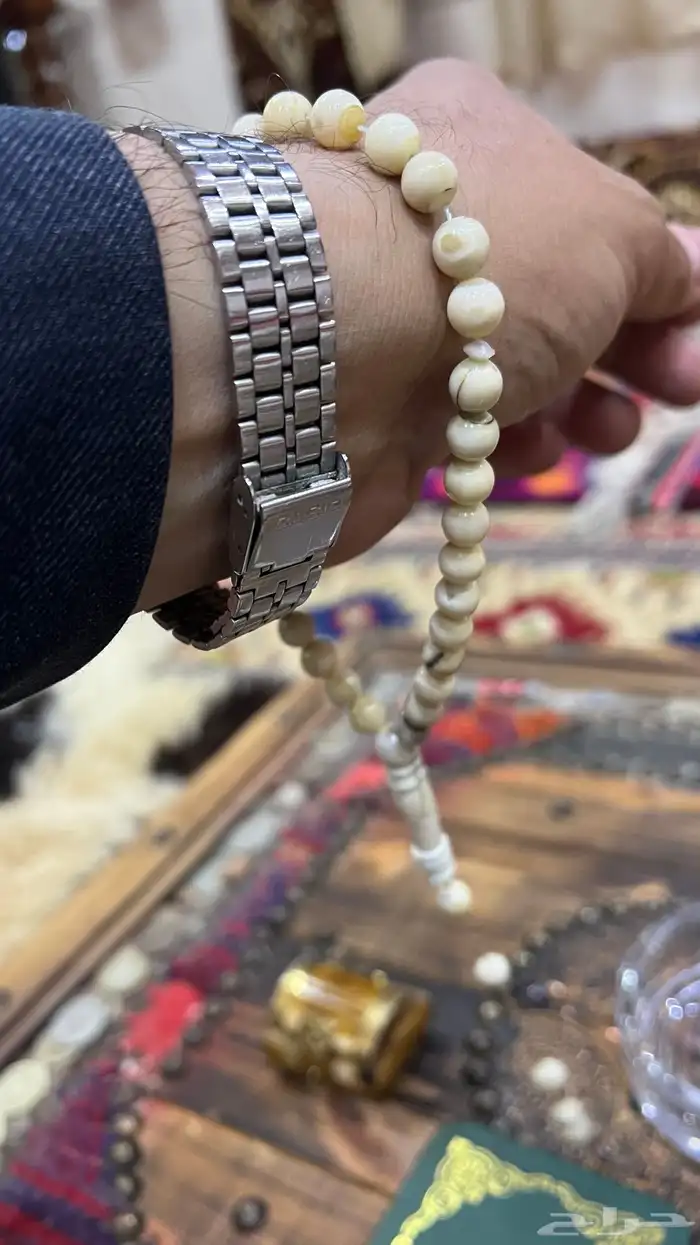 سبحة ناب أسد مشروط 2