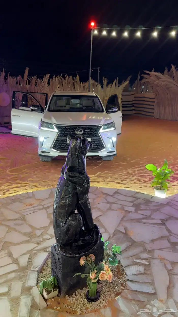 مخيم الريم للايجار المزاحميه 24