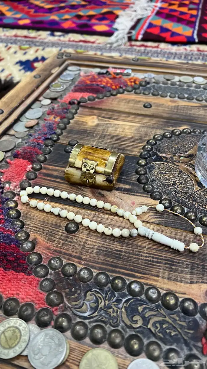 سبحة ناب أسد مشروط 5