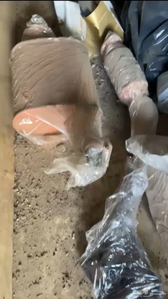 قطع غيار نيسان سوبر سفاري 2022 4