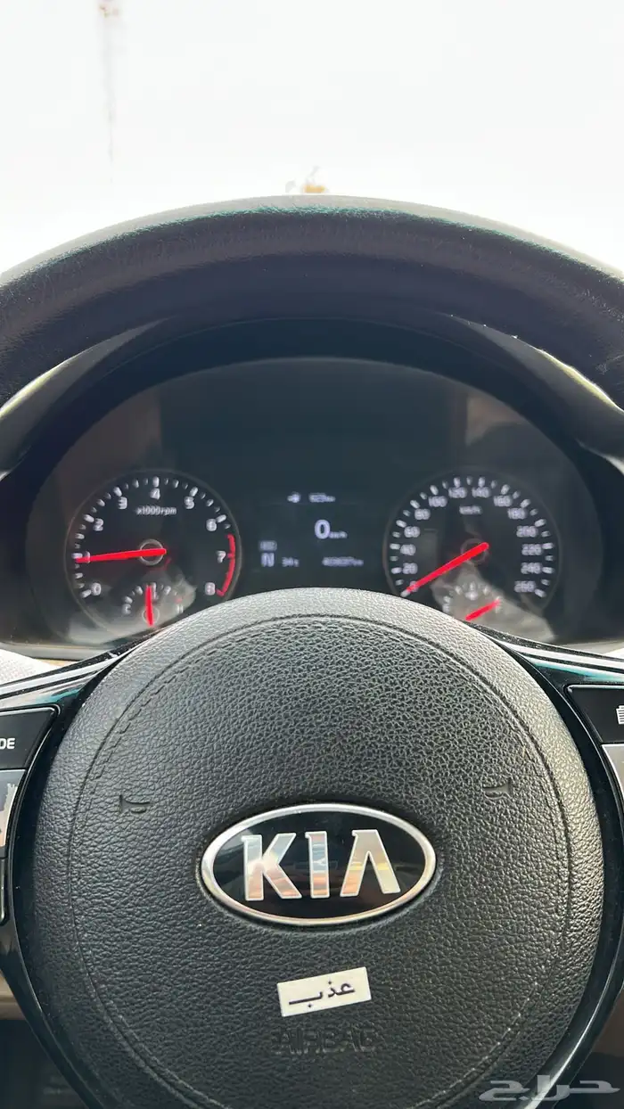 كادينزا 2017 7