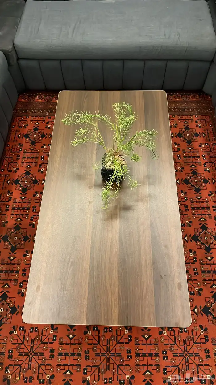 طاوله صاله 0