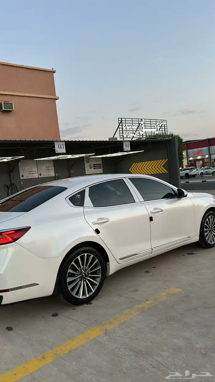 كادينزا 2017 4