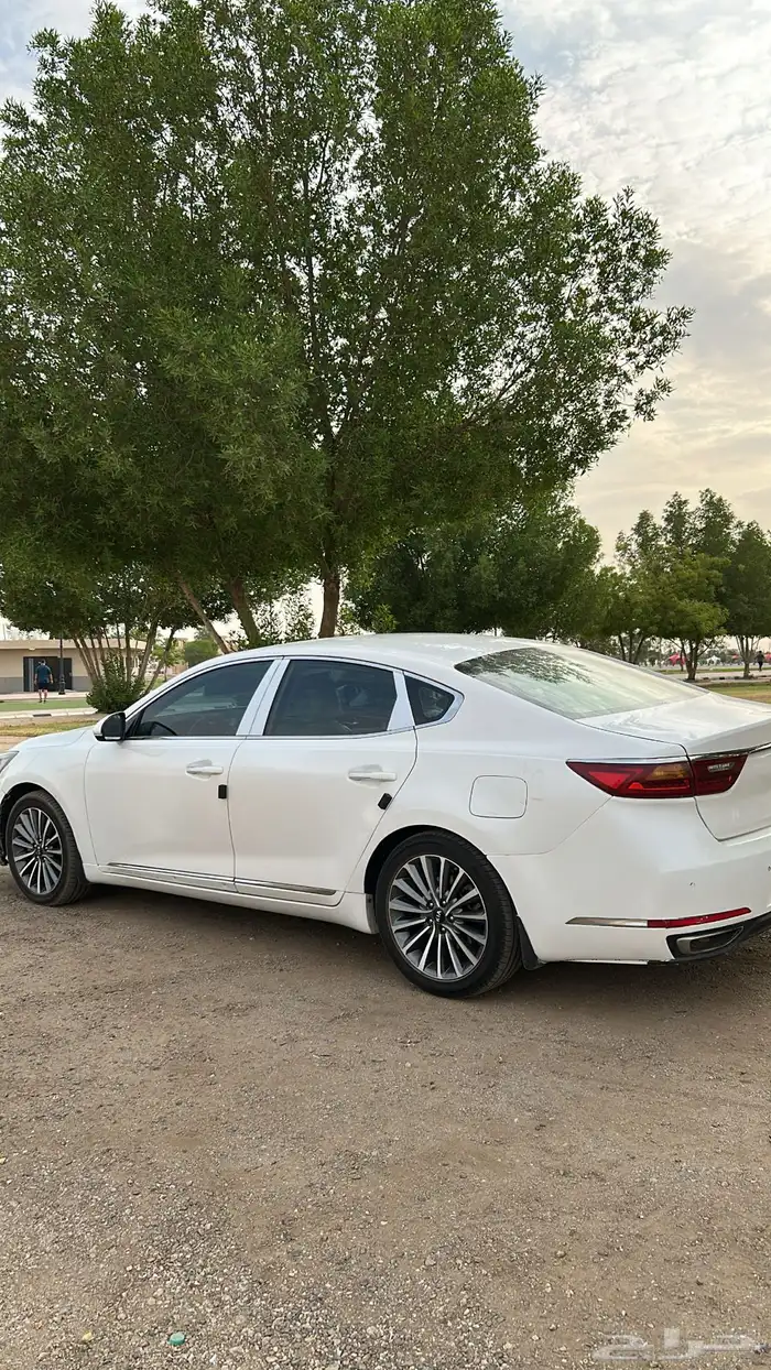 كادينزا 2017 15