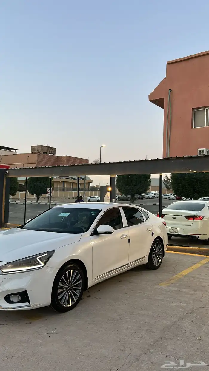 كادينزا 2017 6