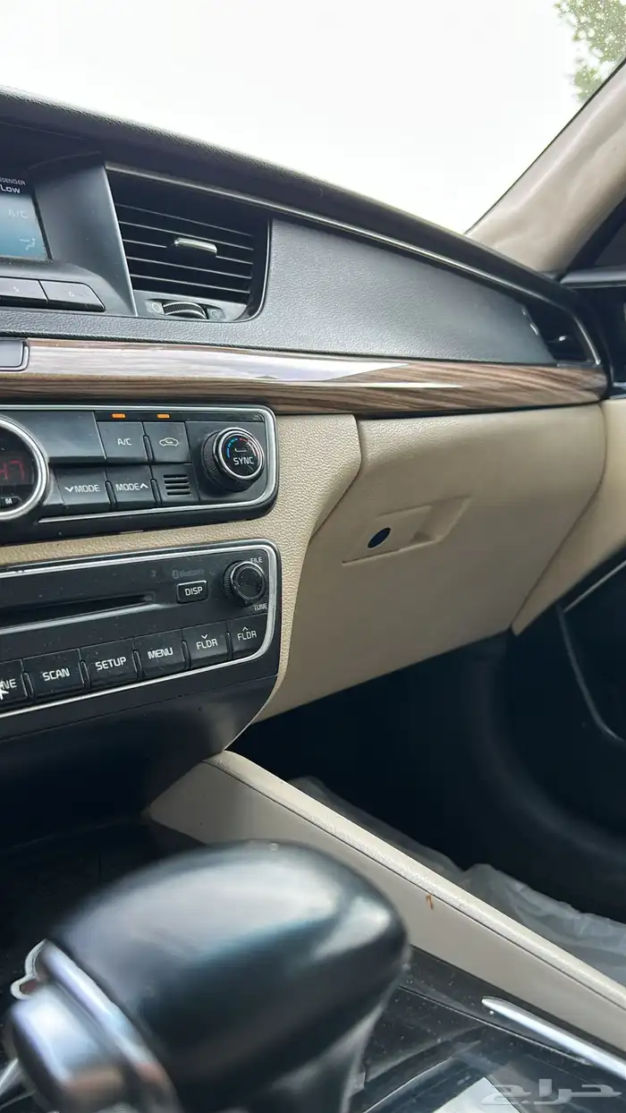 كادينزا 2017 9